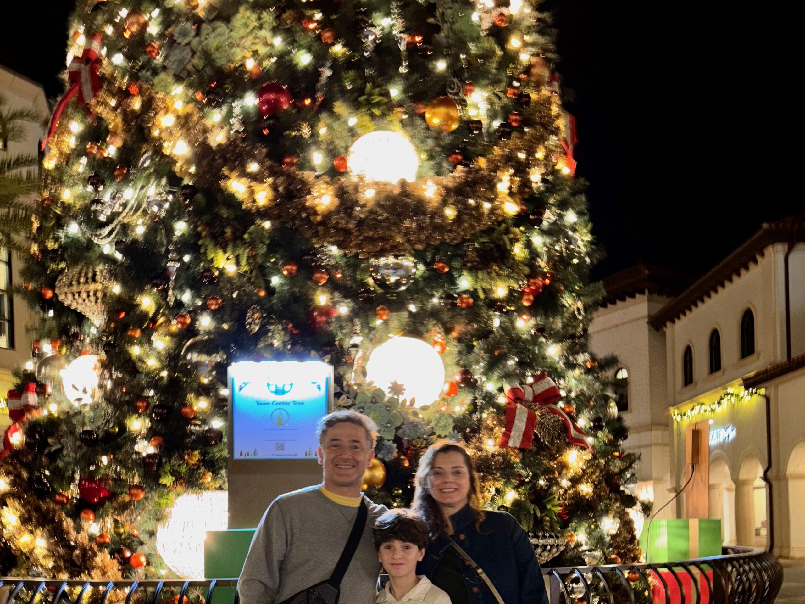 Árvores de Natal temáticas no Disney Springs